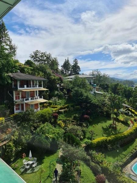 Hatton Summer House - Tuin