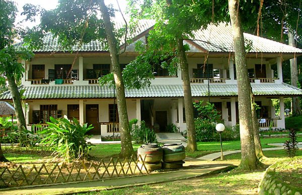 Eco Lodge Bukit Lawang