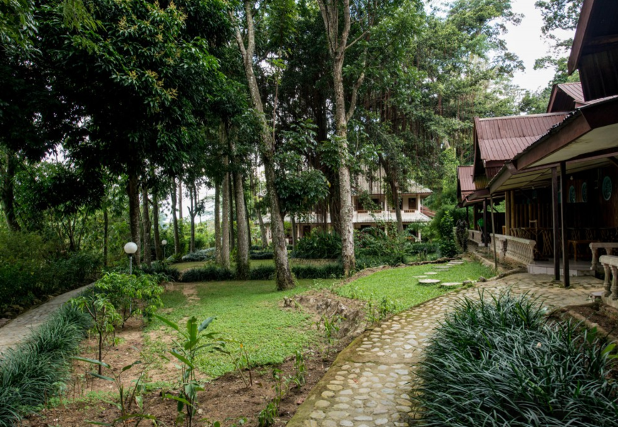 Eco Lodge Bukit Lawang