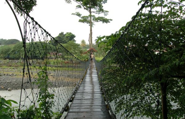 Eco Lodge Bukit Lawang