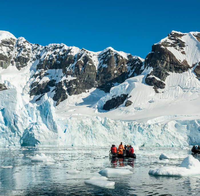 Pinguïns rondreis Antarctica