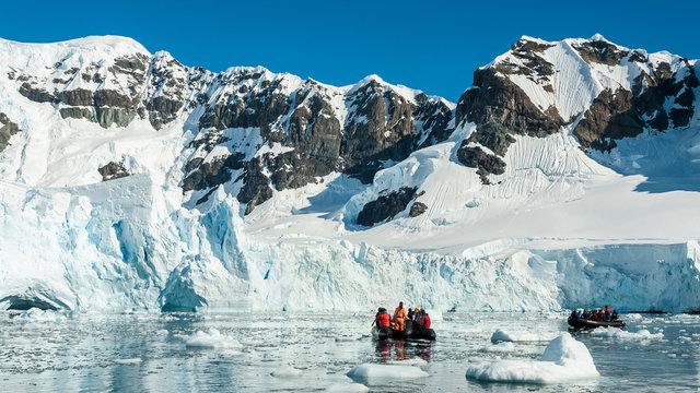 Pinguïns rondreis Antarctica