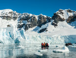 Pinguïns rondreis Antarctica