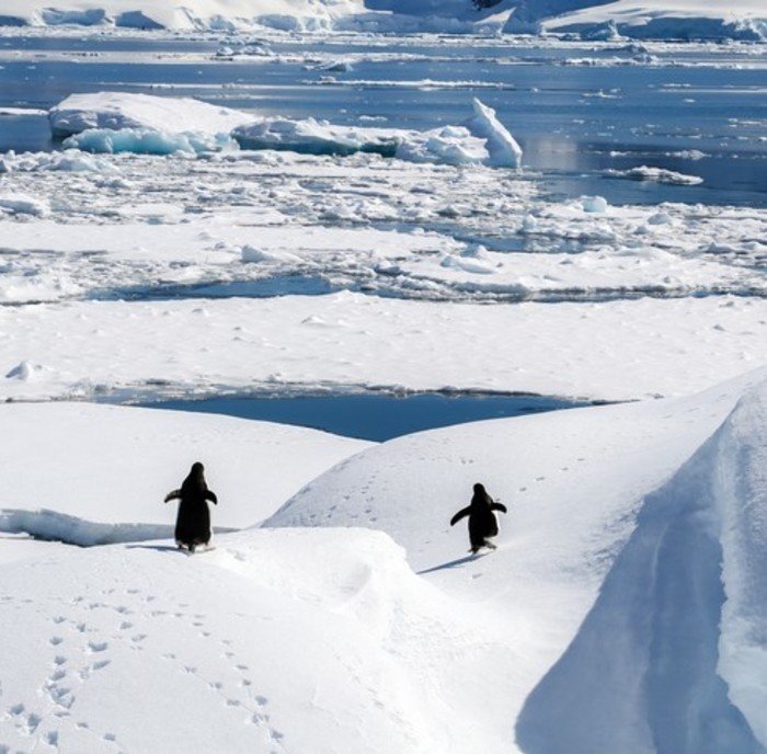 IJsbergen Antarctica