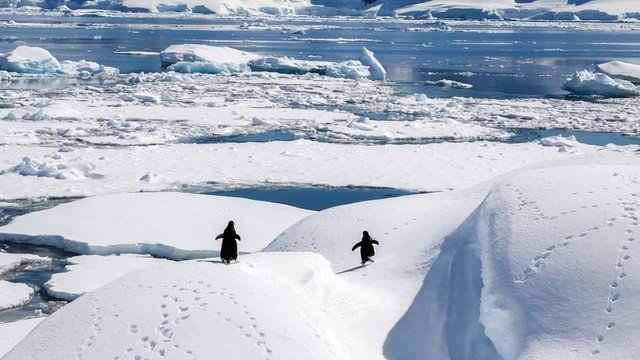 IJsbergen Antarctica