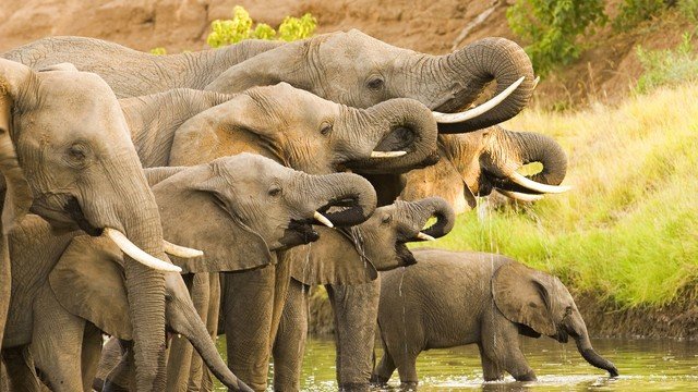 Familiereis zuidelijk afrika