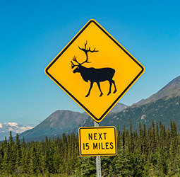 Rondreis Groepsrondreis Alaska en Yukon - Kampeer/hotel reis in Diversen (Alaska, Verenigde Staten)
