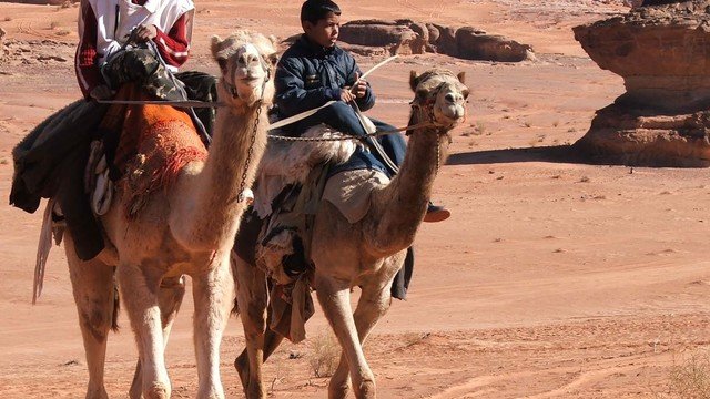 Rondreis Israël, Palestijnse gebieden en Jordanië