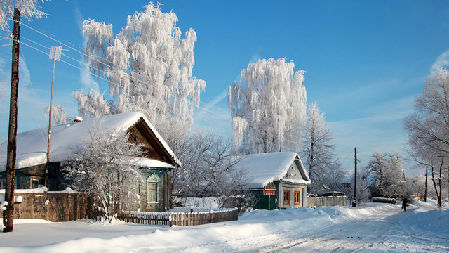 Rusland, winter, husky