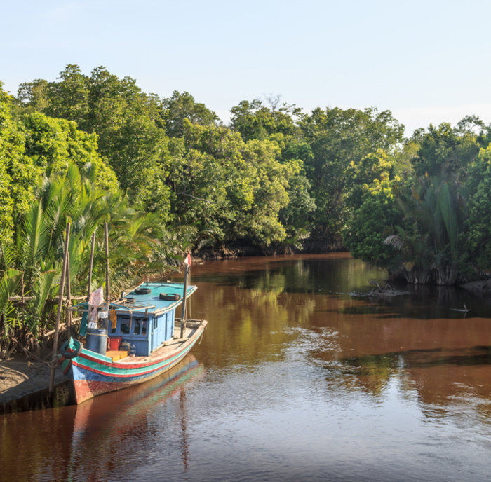 Rondreis Indonesië - Kalimantan