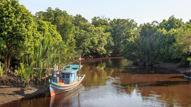 Groepsrondreis Kalimantan 