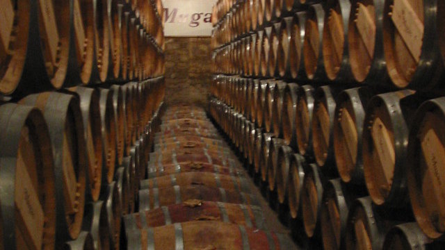 Fietsvakantie La Rioja en Burgos 