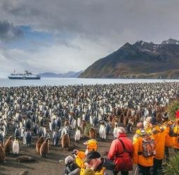 Groepsrondreis antarctica en south georgia - pingu...