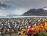 Pinguïn, Antarctica en South Georgia