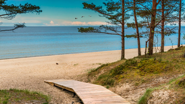 Rondreis Estland
