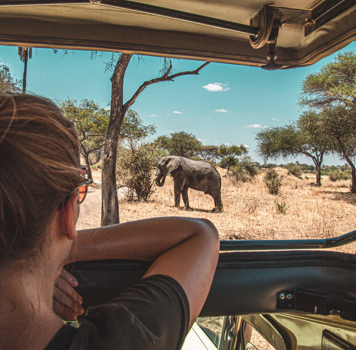 Safari in Tanzania