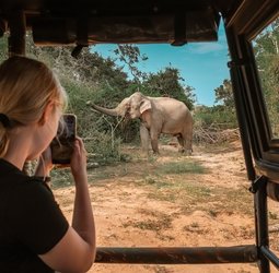 Online bestellen: Familiereis Kenia, Tanzania/Zanzibar 16 dagen