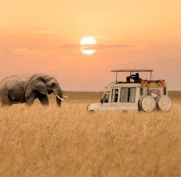 Online bestellen: Groepsrondreis Zuidelijk Afrika Hoogtepunten