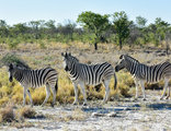 Zuidelijk Afrika rondreis