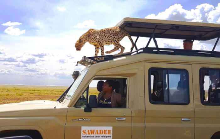 De mooiste nationale parken van Afrika op safari!