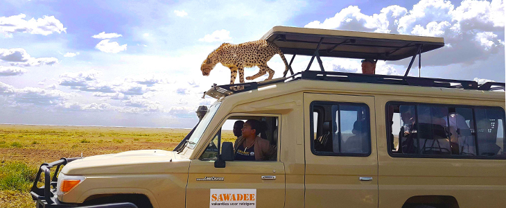 De mooiste nationale parken van Afrika op safari!