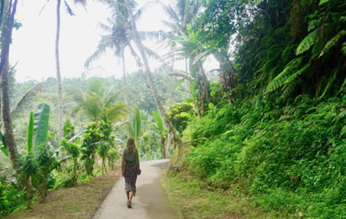 Reistips Ubud: de 10 leukste dingen om te doen!
