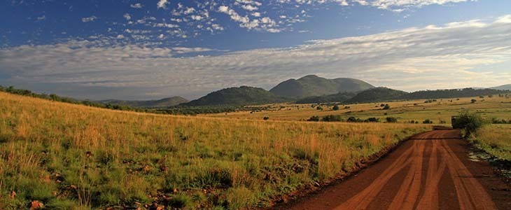 Van de gebaande paden in Zuid-Afrika