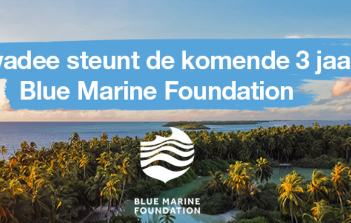 Sawadee steunt de komende 3 jaar Blue Marine Foundation