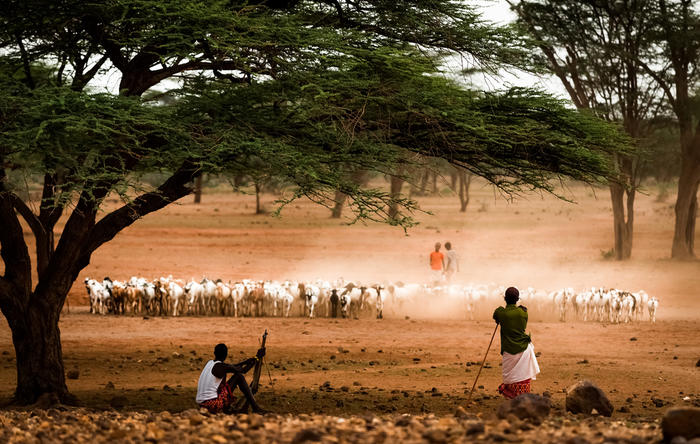 Ontmoet de kleurrijke Samburu en Maasai stammen