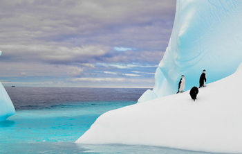 Hoogtepunten en reiservaring van Antarctica