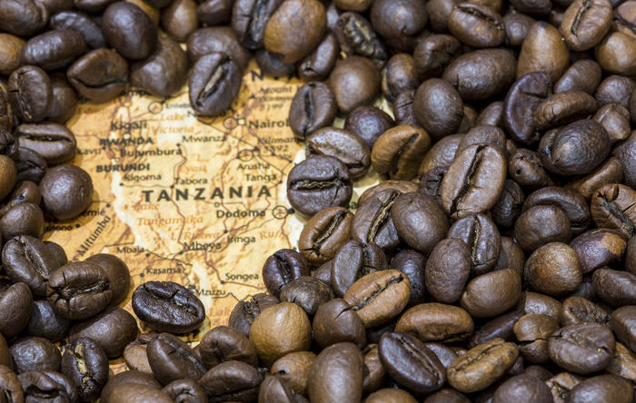 Ontdek de lekkerste koffie op reis in Tanzania