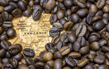 Ontdek de lekkerste koffie op reis in Tanzania