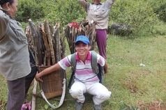 hoc van dinh