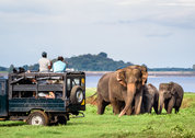 SriLanka-MinneriyaNP.jpg