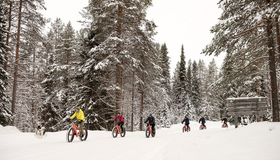 Rondreis Lapland sleehonden