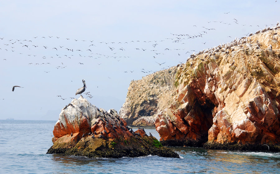 Groepsreis Peru Paracas