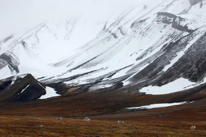 Bergen en vergezichten Spitsbergen