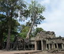 Angkor Wat