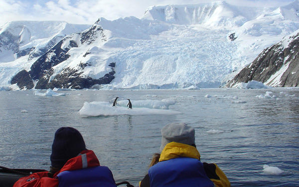 Groepsrondreis Antarctica en South Georgia - pinguinsafari