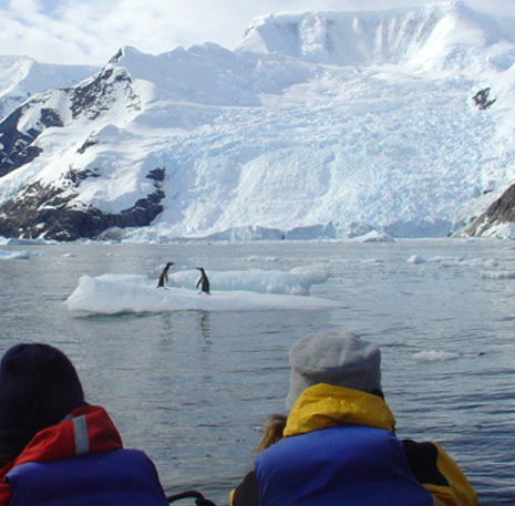 Pinguïns en reizigers op de Zuidpool