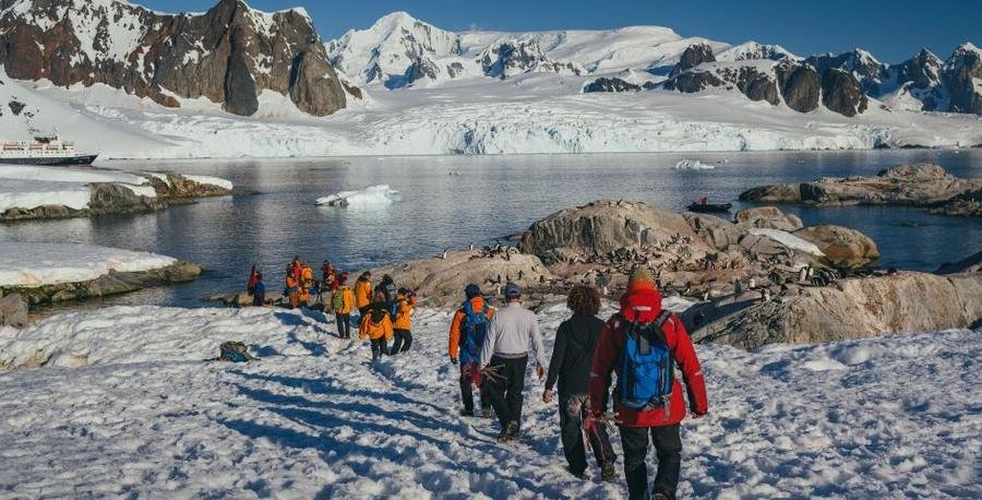 Groepsrondreis Antarctica en South Georgia - pinguinsafari