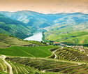 Wandelvakantie Portugal - de Douro Vallei