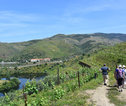 Wandelvakantie Portugal - de Douro Vallei