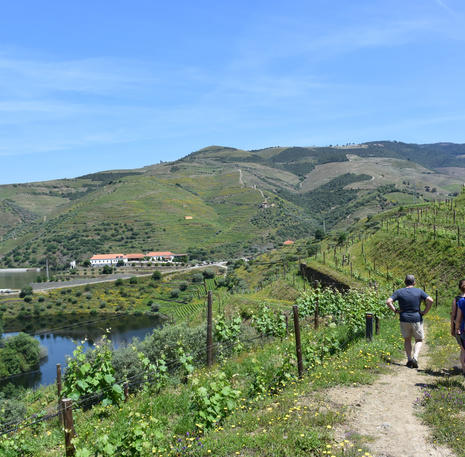 Wandelvakantie Portugal - de Douro Vallei