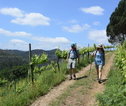 Wandelvakantie Portugal - de Douro Vallei