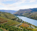 Wandelvakantie Portugal - de Douro Vallei