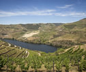 Wandelvakantie Portugal - de Douro Vallei