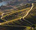 Wandelvakantie Portugal - de Douro Vallei