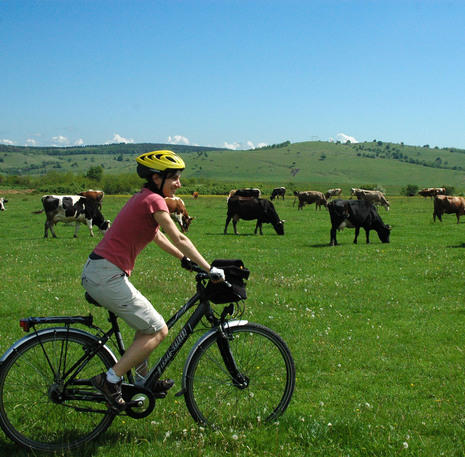 ECMVF-Roemenië-LIB BIKE TRANS  (52)