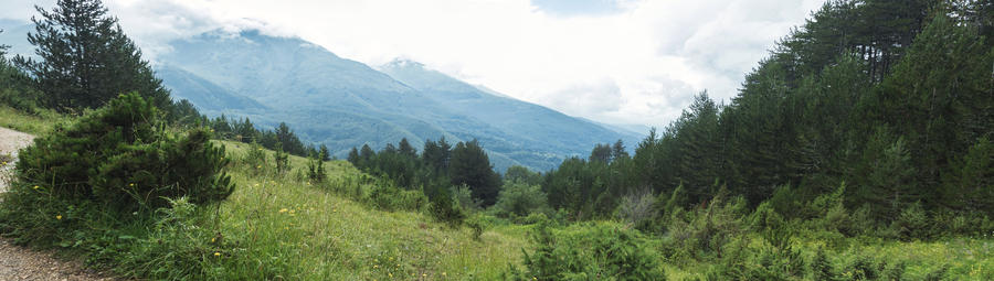 ECMVU-Kocovo-Prevalle-shutterstock_1155313219